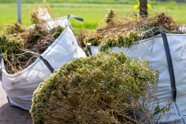 Best Junk Removal Near Me  in Pelzer, SC